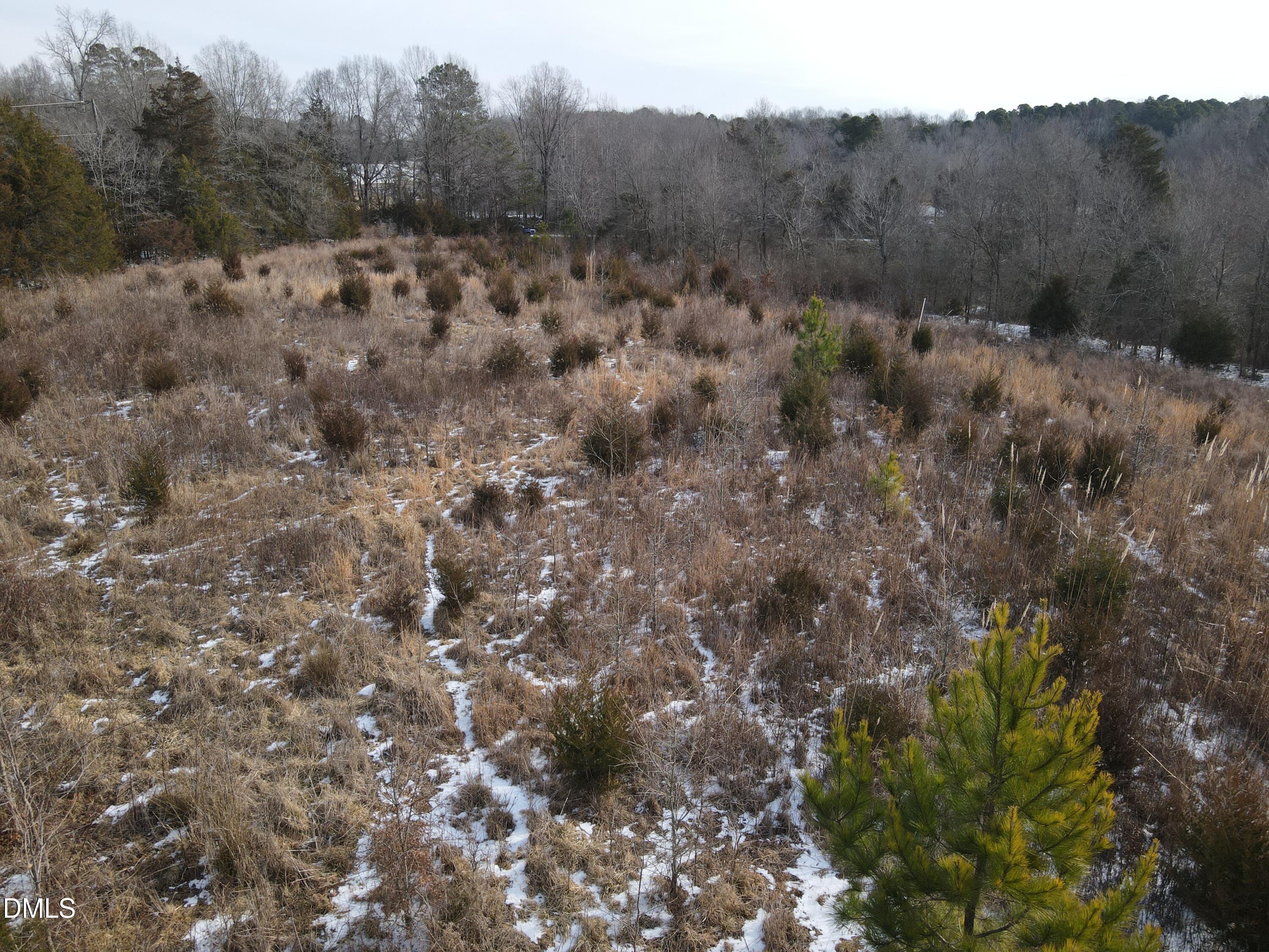 0 Oakley Road Cedar Grove, NC 27231 - Photo 19 of 31 DJI_0676