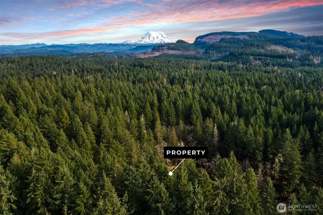 $37,000 | 17820 Pondside Court Southeast, Yelm, WA 98597