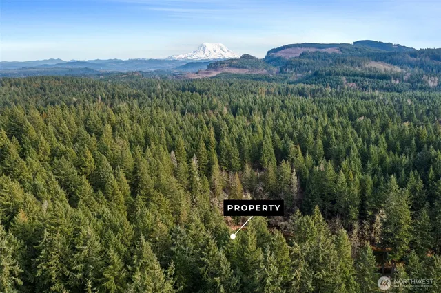 $37,000 | 17820 Pondside Court Southeast, Yelm, WA 98597