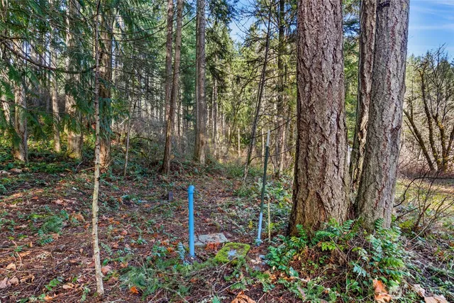 $37,000 | 17820 Pondside Court Southeast, Yelm, WA 98597