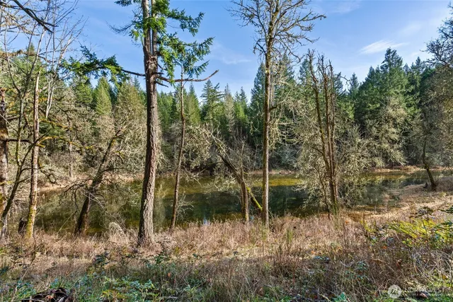 $37,000 | 17820 Pondside Court Southeast, Yelm, WA 98597