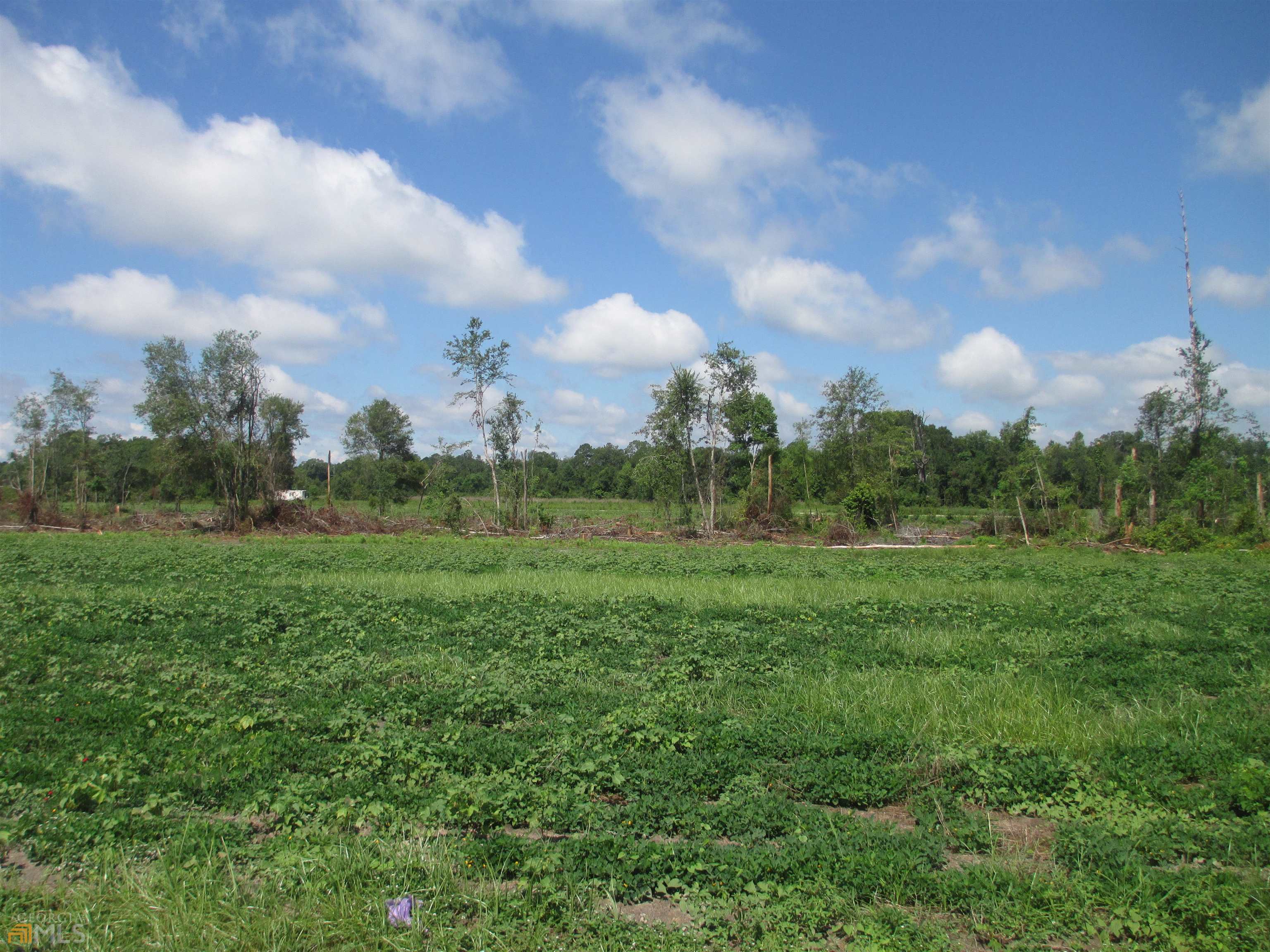 a view of an outdoor space and a yard