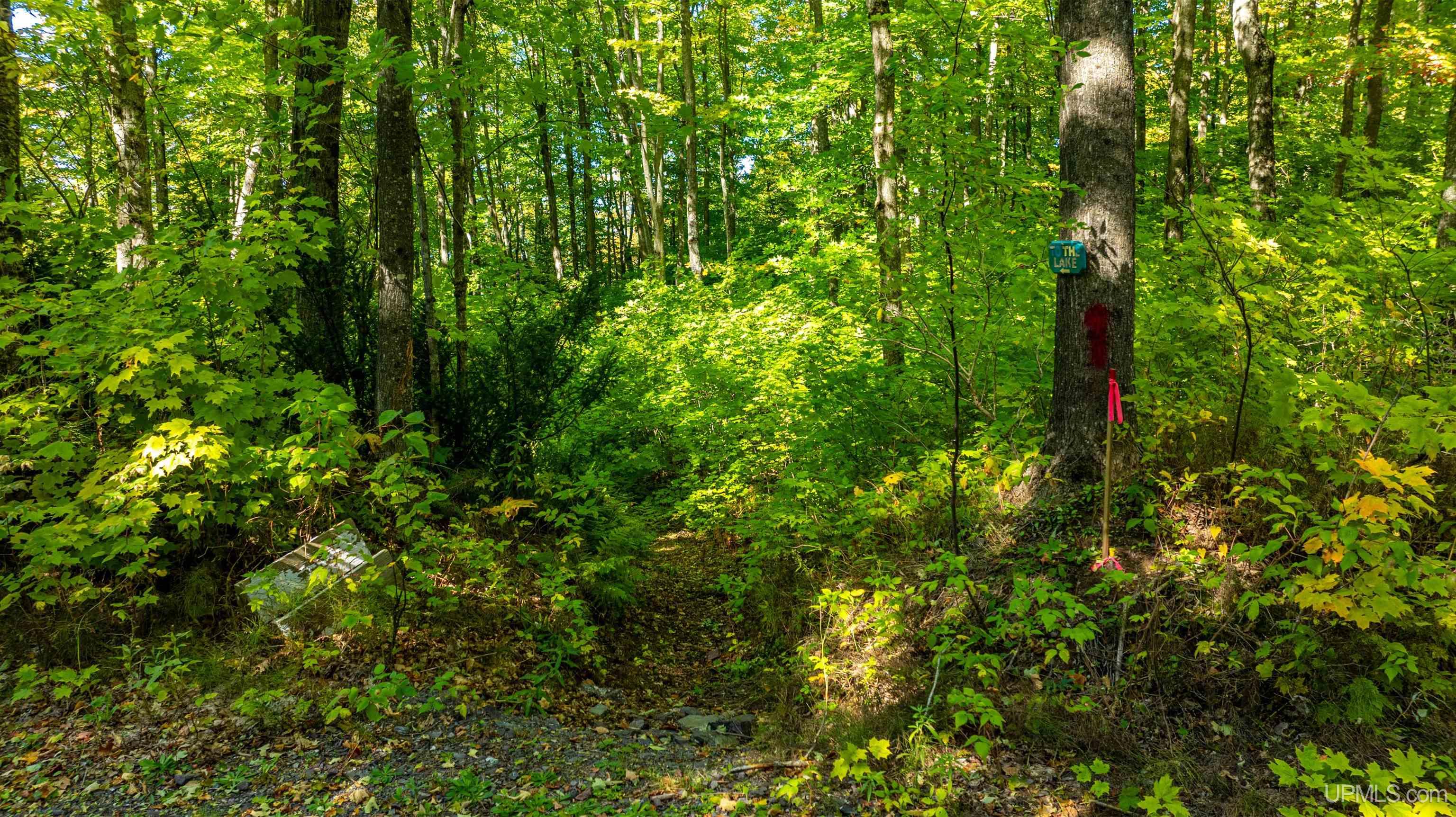 12 Redridge Creek Road Atlantic Mine, MI 49905 - Photo 20 of 28