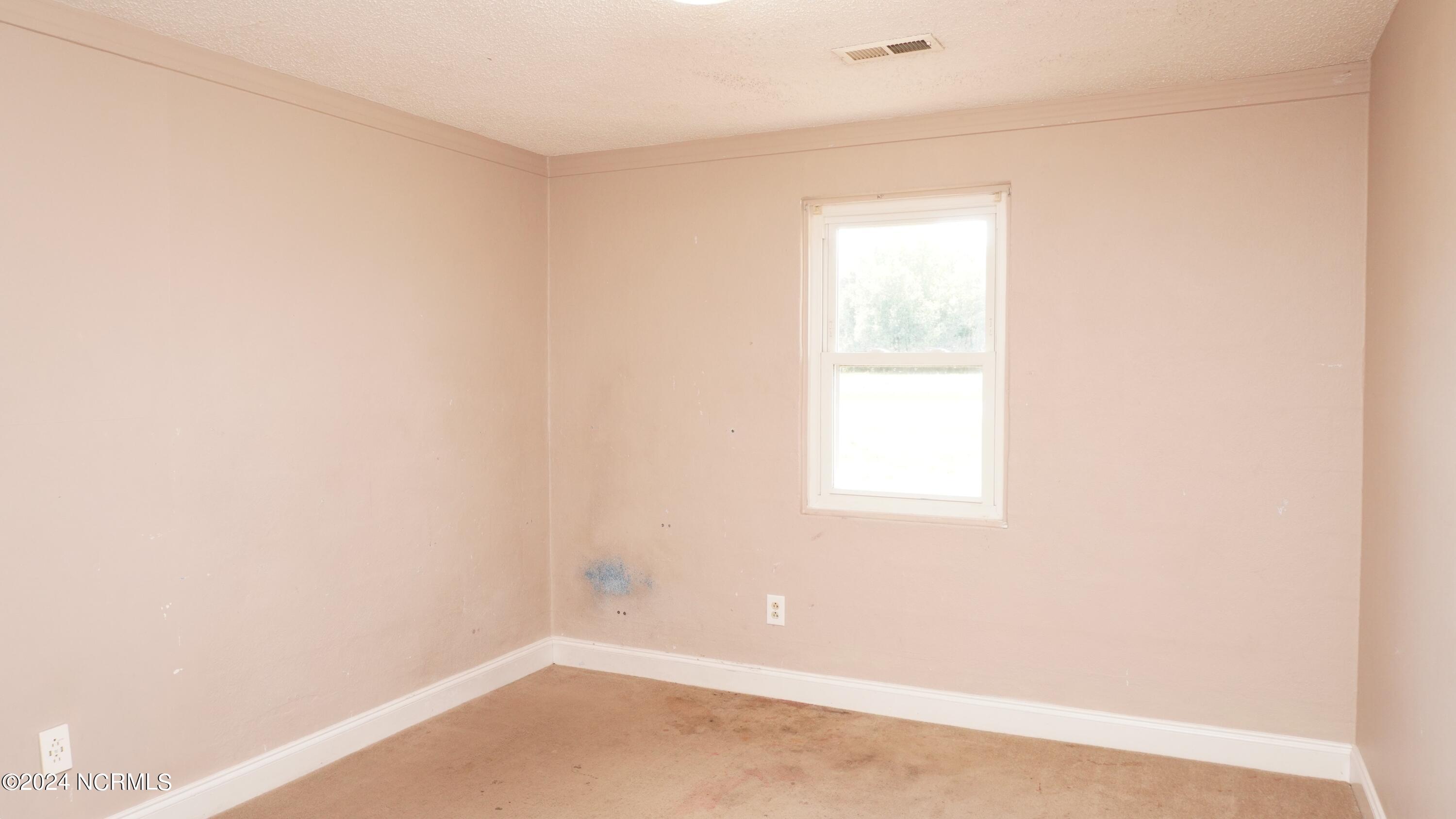 301 Edwards Bridge Road Grifton, NC 28530 - Photo 13 of 16 DSC02255