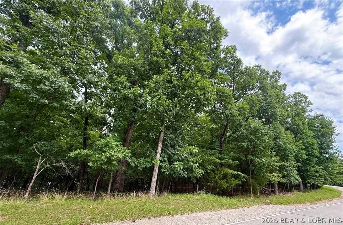 Four Cornett Branch Road Four Seasons, MO 65049 - Photo 3 of 3 Buildable lot