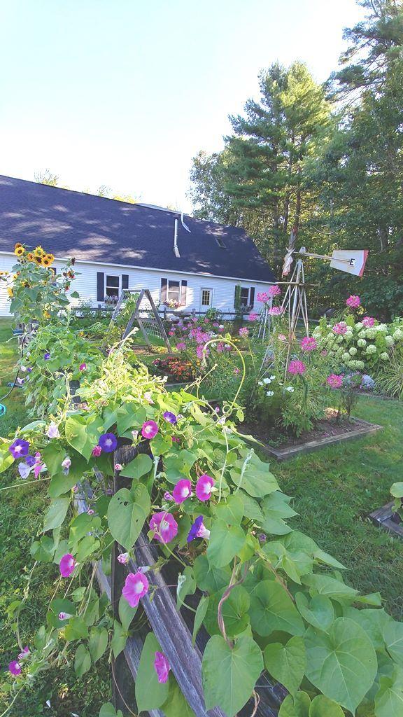636 Gore Road Alfred, ME 04002 - Photo 53 of 54 gg12