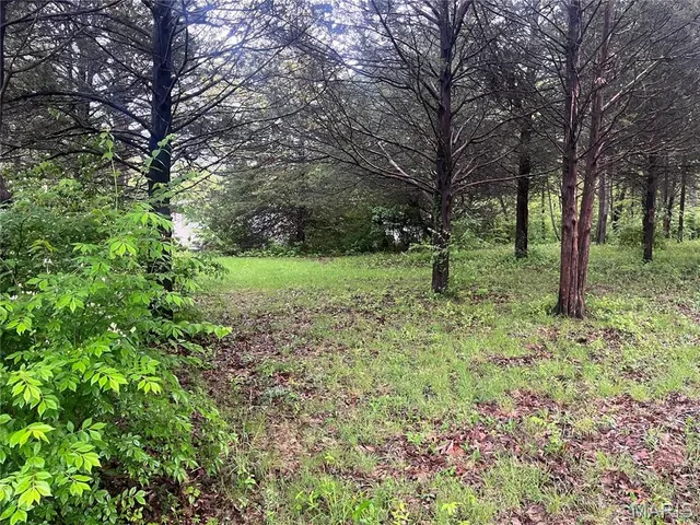 $28,000 | 1985 Lakeshore Drive, Cuba, MO 65453