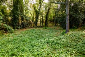 585 Mountain Road Westminster, SC 29693 - Photo 1 of 20 Discover a tranquil, verdant lot perfect for your future home, nestled amidst mature trees.