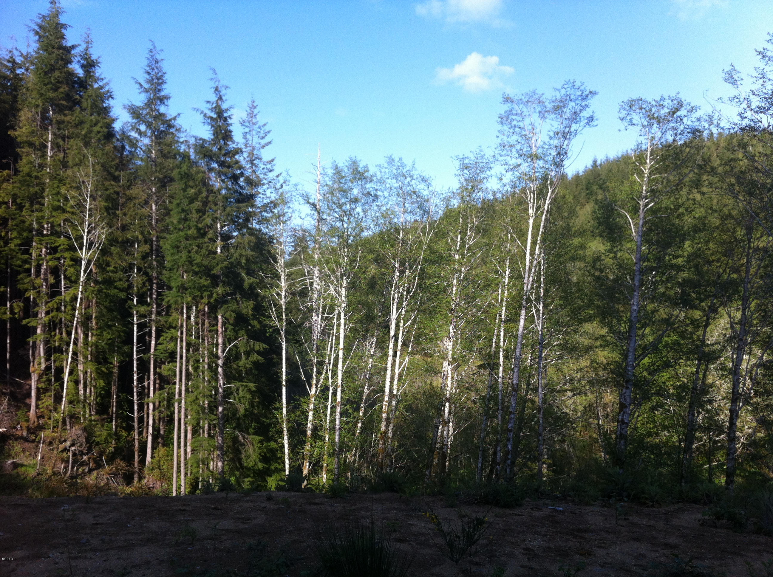 401 South Anderson Creek Road Lincoln City, OR 97367 - Photo 10 of 16 059