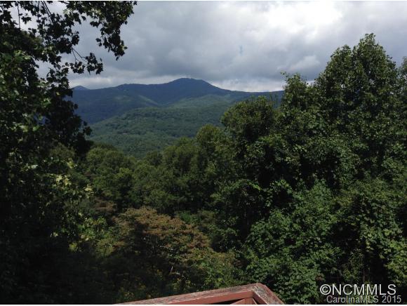 426 Old Dummy Line Road Balsam, NC 28707 - Photo 3 of 11 Gallery Image 3
