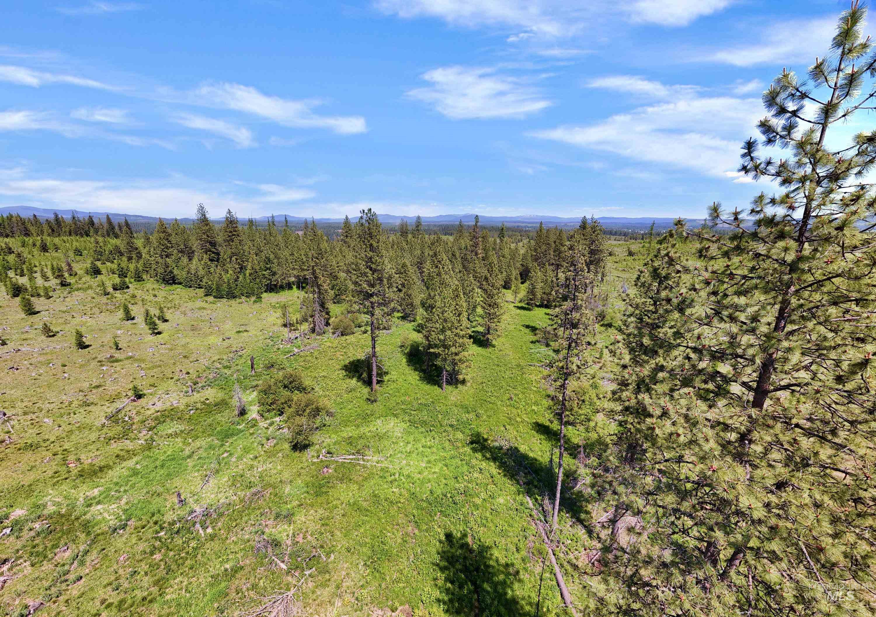 0 Timberline Heights Weippe, ID 83553 - Photo 8 of 12