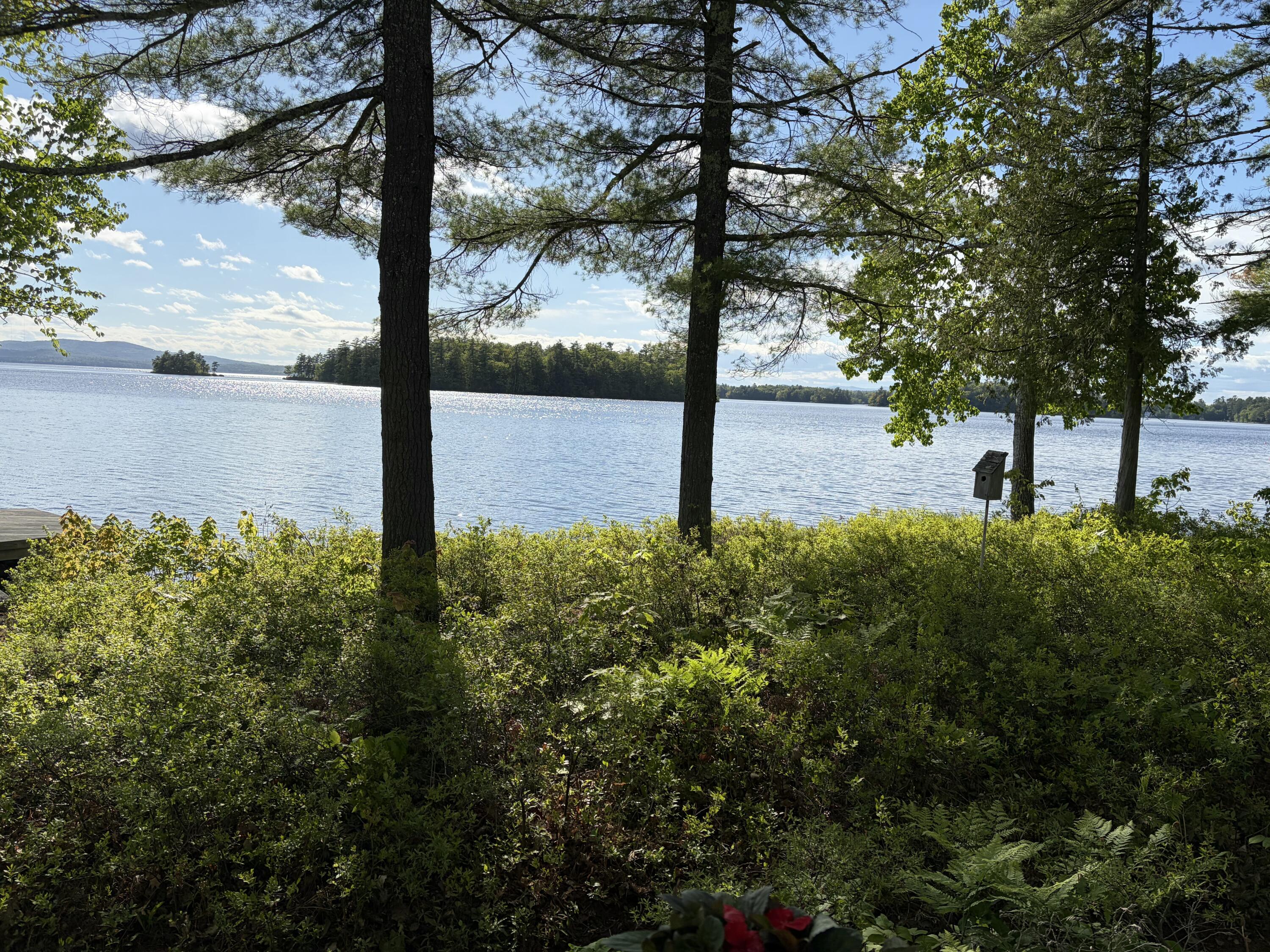 19 Tapley Cove Road Raymond, ME 04071 - Photo 62 of 112 IMG_0376