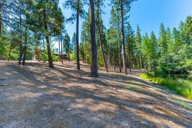 $1,500,000 | 11790 Lowhills Road, Nevada City, CA 95959