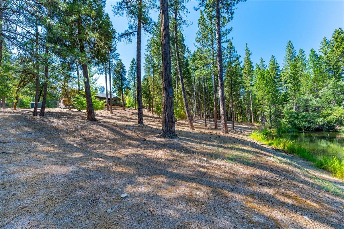 11790 Lowhills Road Nevada City, CA 95959 - Photo 53 of 68