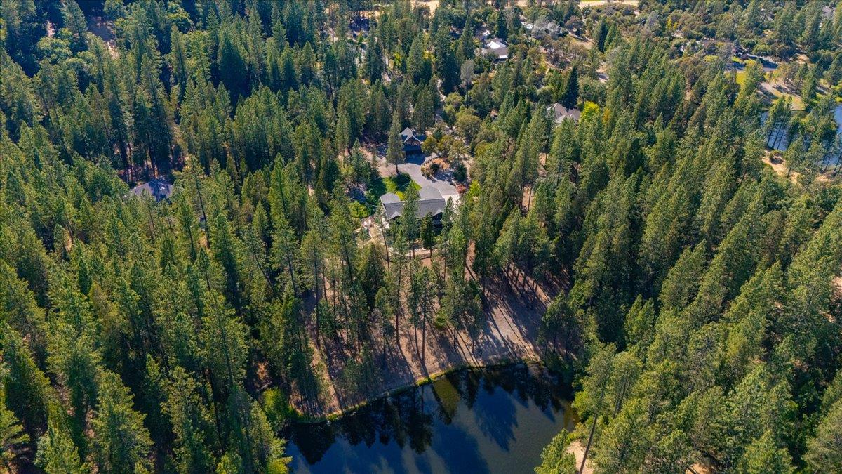 11790 Lowhills Road Nevada City, CA 95959 - Photo 57 of 68