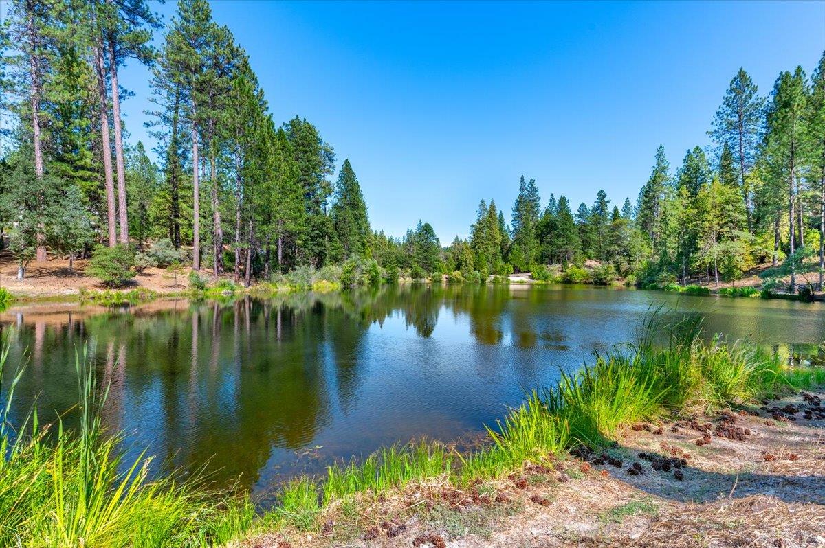 11790 Lowhills Road Nevada City, CA 95959 - Photo 8 of 68 a body of water with a tree in the background