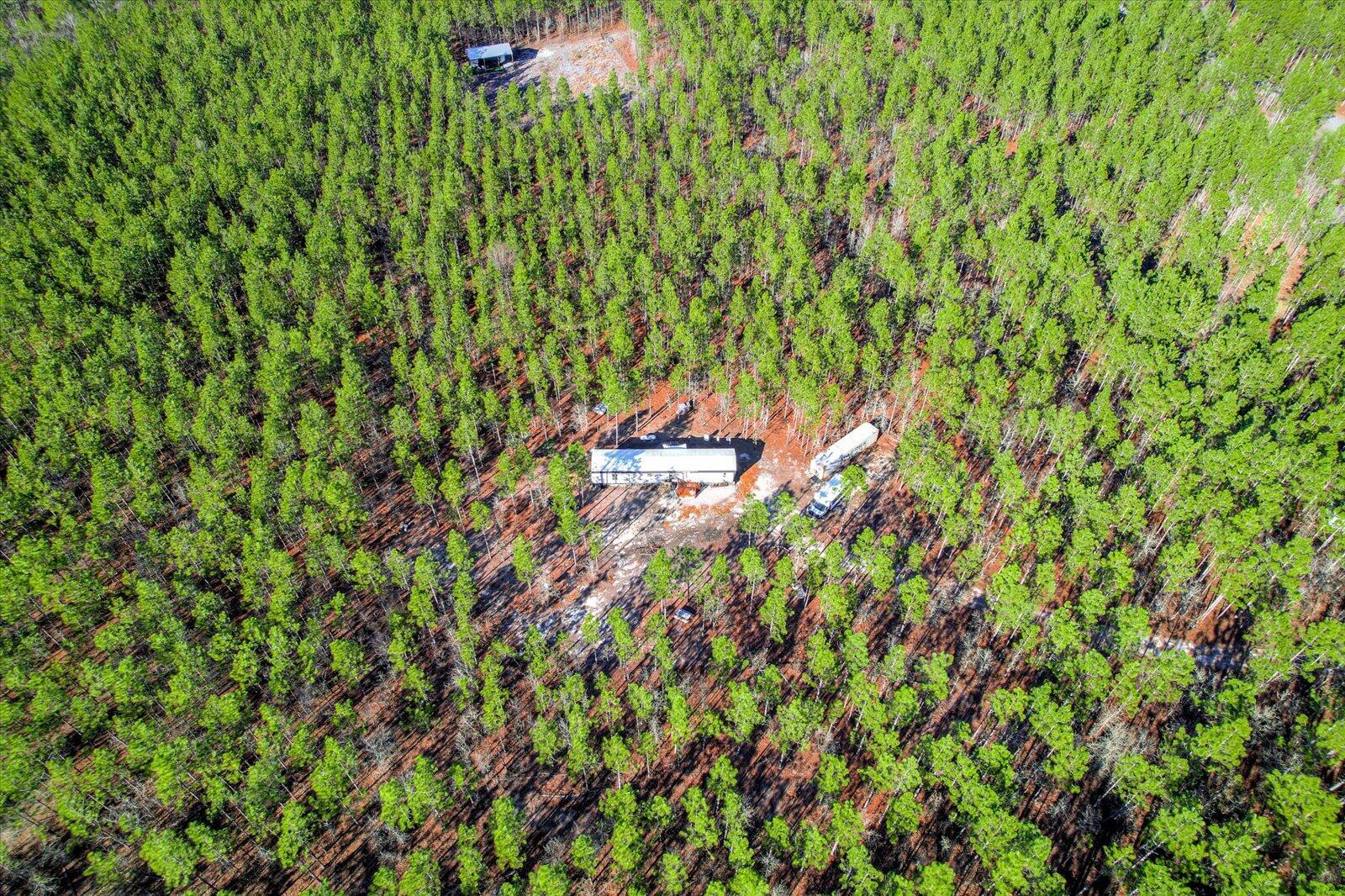 244 Centerwood Road Windsor, SC 29856 - Photo 12 of 20 09-109
