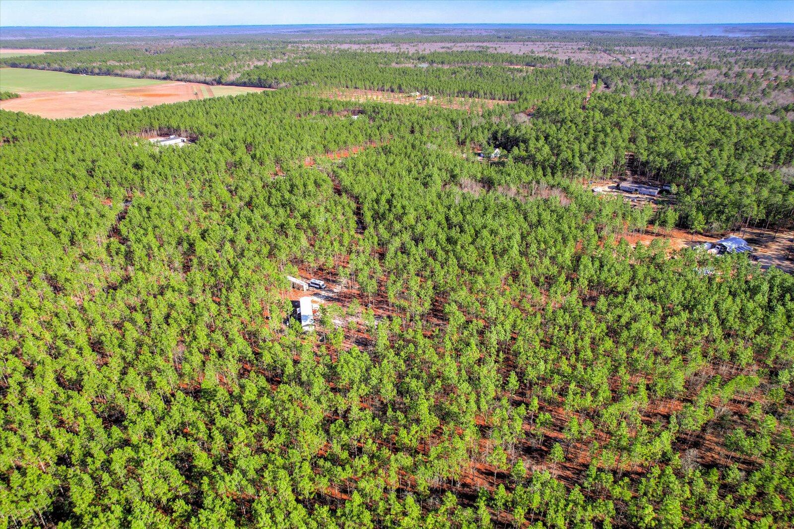 244 Centerwood Road Windsor, SC 29856 - Photo 14 of 20 08-108