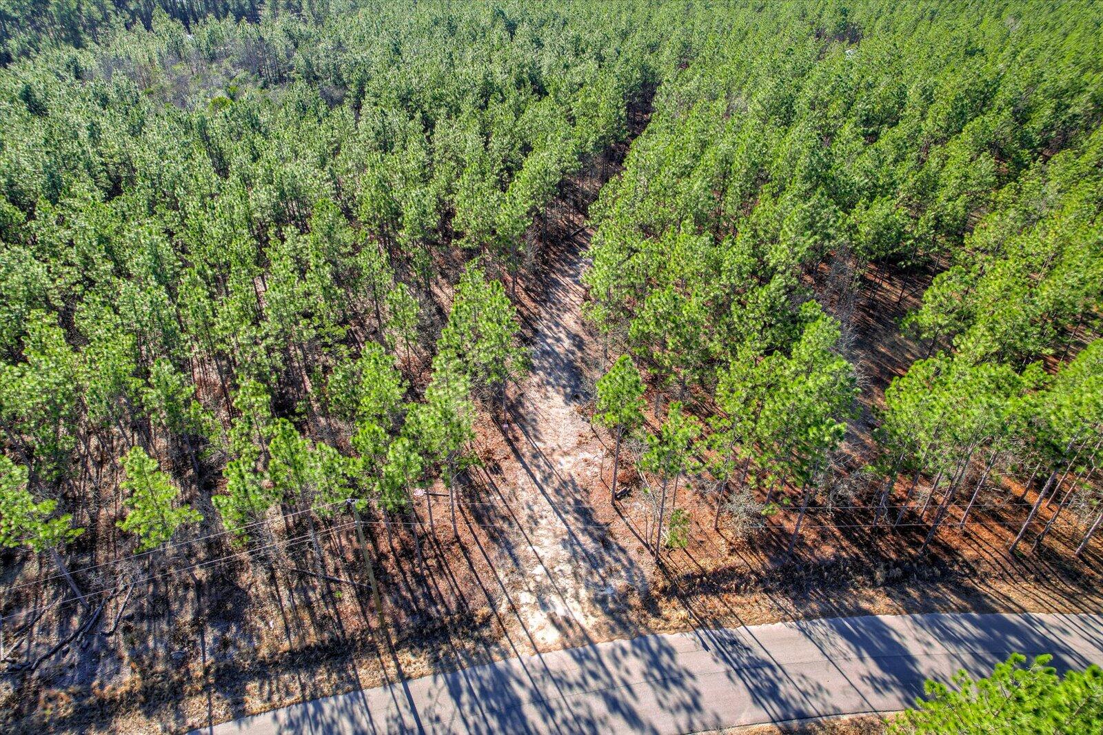 244 Centerwood Road Windsor, SC 29856 - Photo 10 of 20 11-111