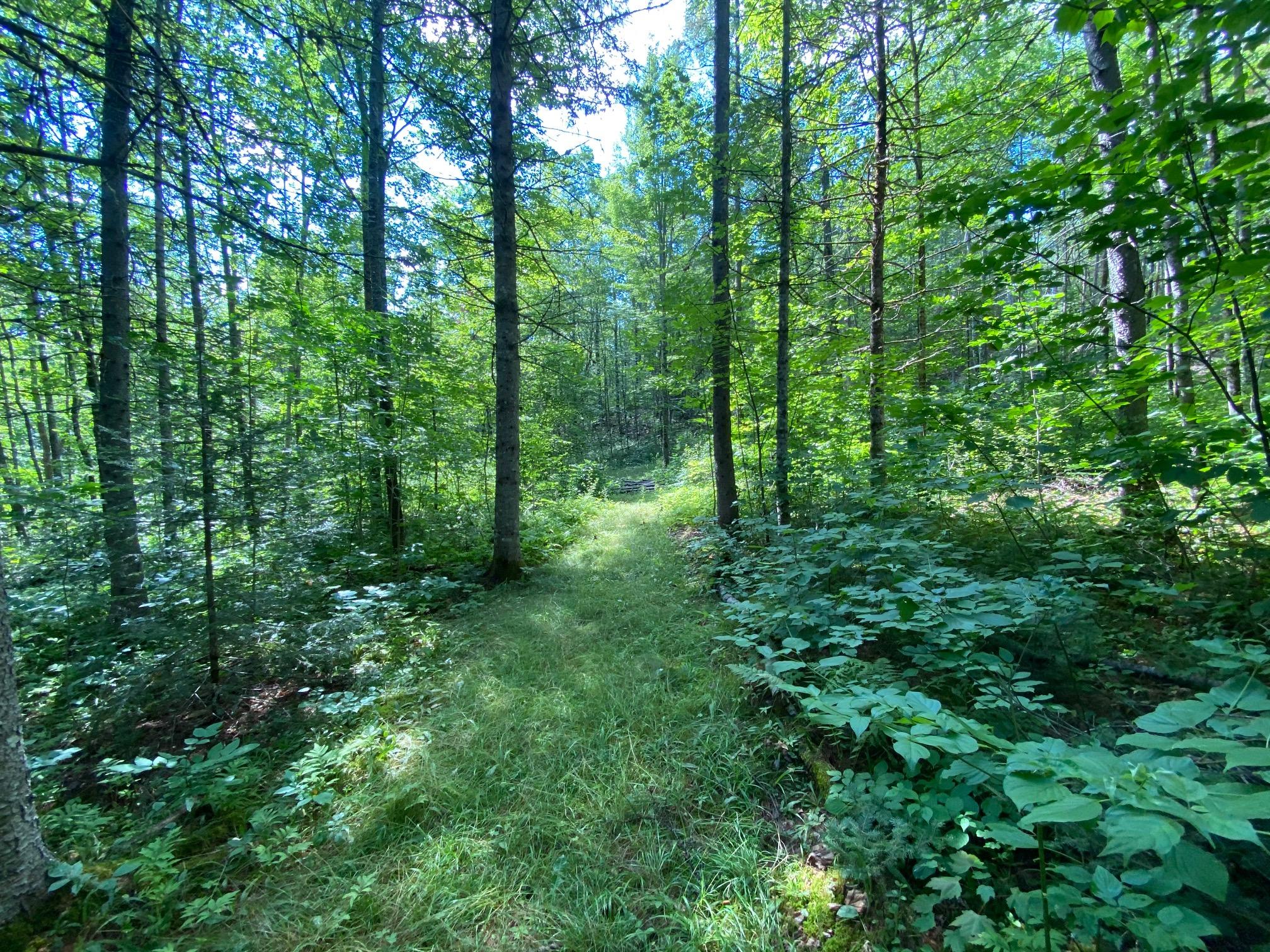 320 N Road Sebec, ME 04481 - Photo 35 of 36 35