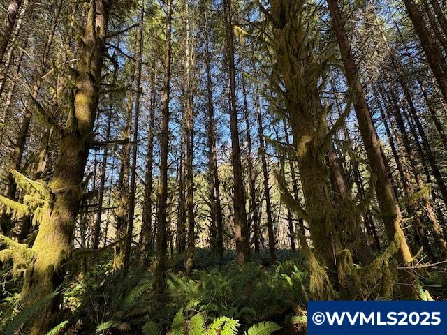 0 Logsden Road Blodgett, OR 97326 - Photo 17 of 24