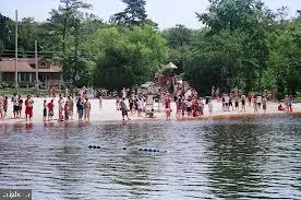 a view of a park with trees