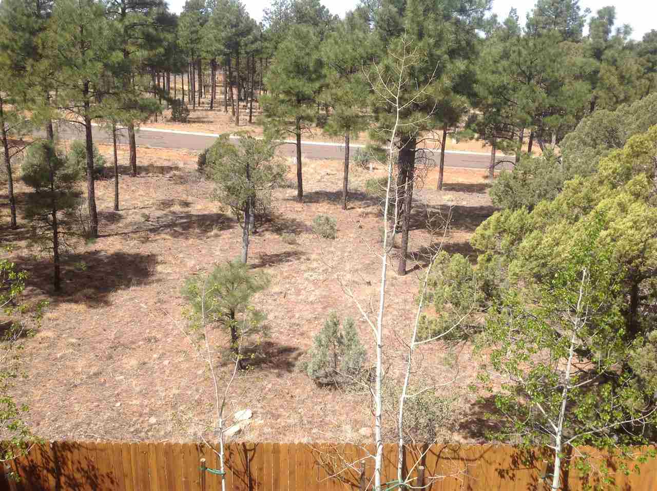 1092 South Hunters Run Show Low, AZ 85901 - Photo 21 of 36 a view of yard
