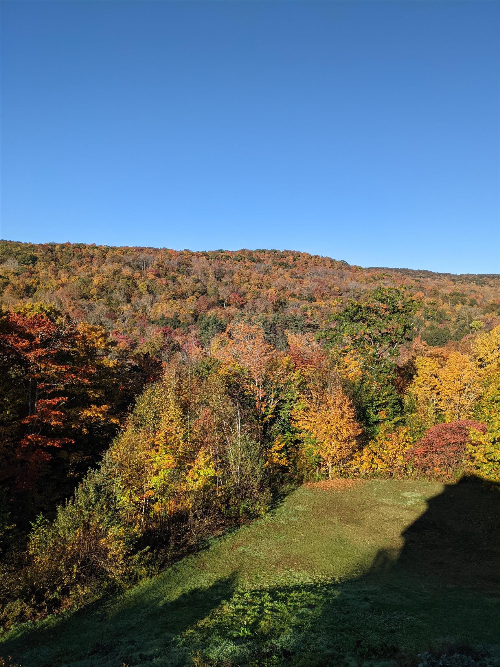 1113 Old Cheney Road Windham, VT 05359 - Photo 9 of 51 Gallery Image 9