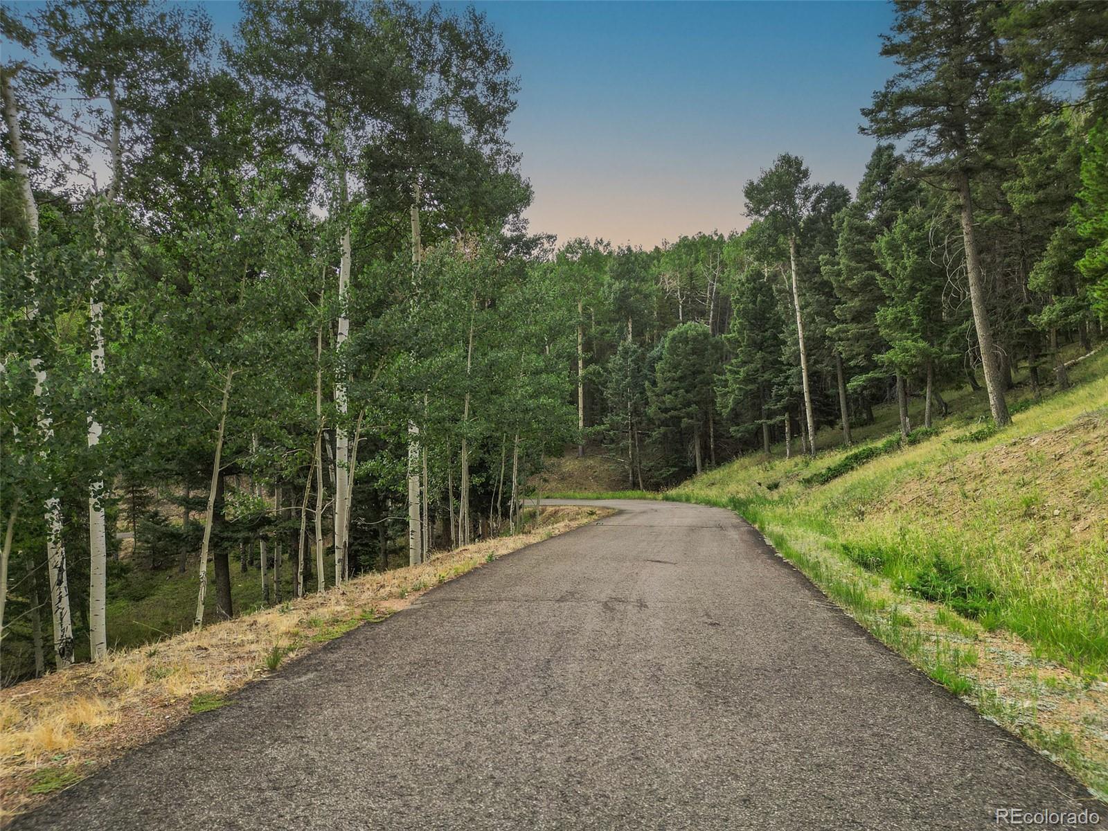 26545 Richmond Hill Road Conifer, CO 80433 - Photo 27 of 33