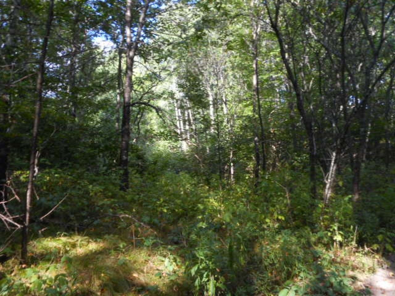 N2941 Blackhawk Road Elton, WI 54430 - Photo 36 of 44 Gallery Image 36