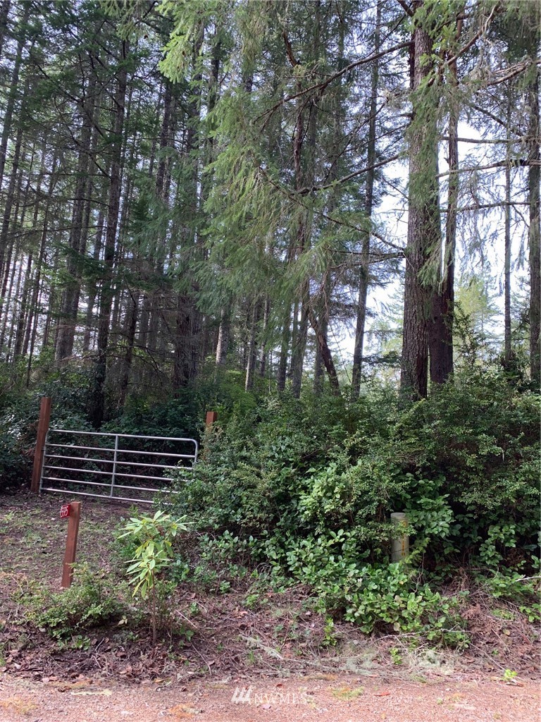 595 Silent Lake Road Quilcene, WA 98376 - Photo 11 of 11 Gallery Image 11