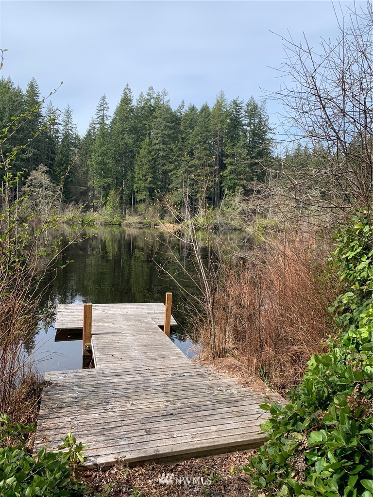 595 Silent Lake Road Quilcene, WA 98376 - Photo 8 of 11 Gallery Image 8
