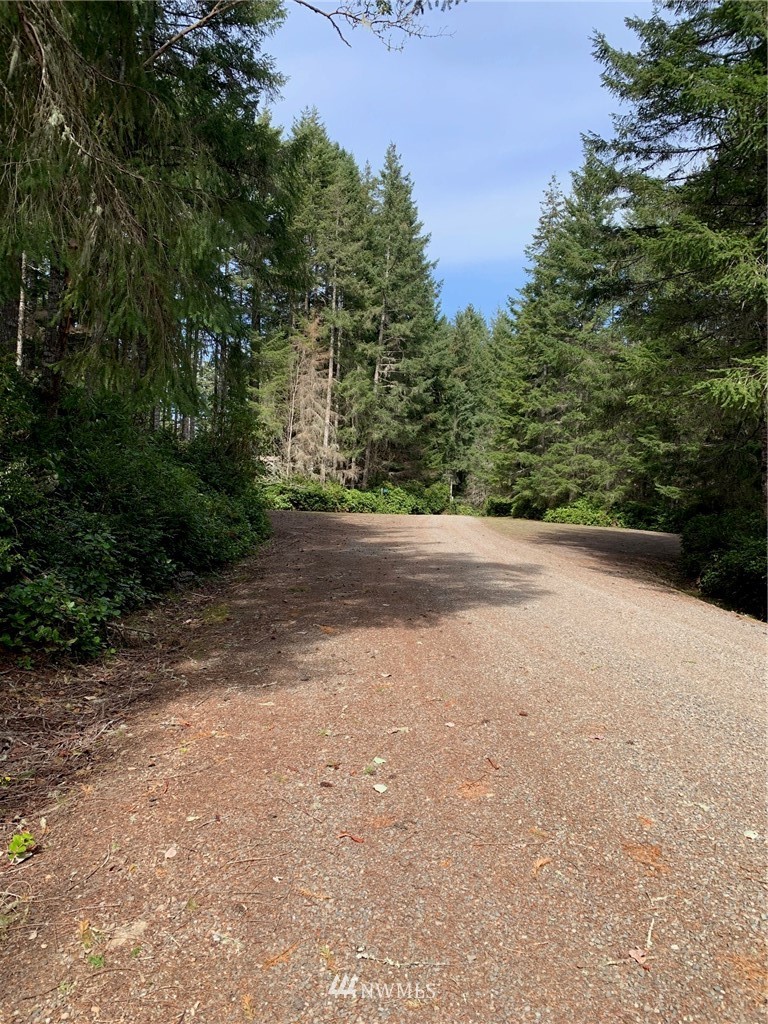 595 Silent Lake Road Quilcene, WA 98376 - Photo 9 of 11 Gallery Image 9