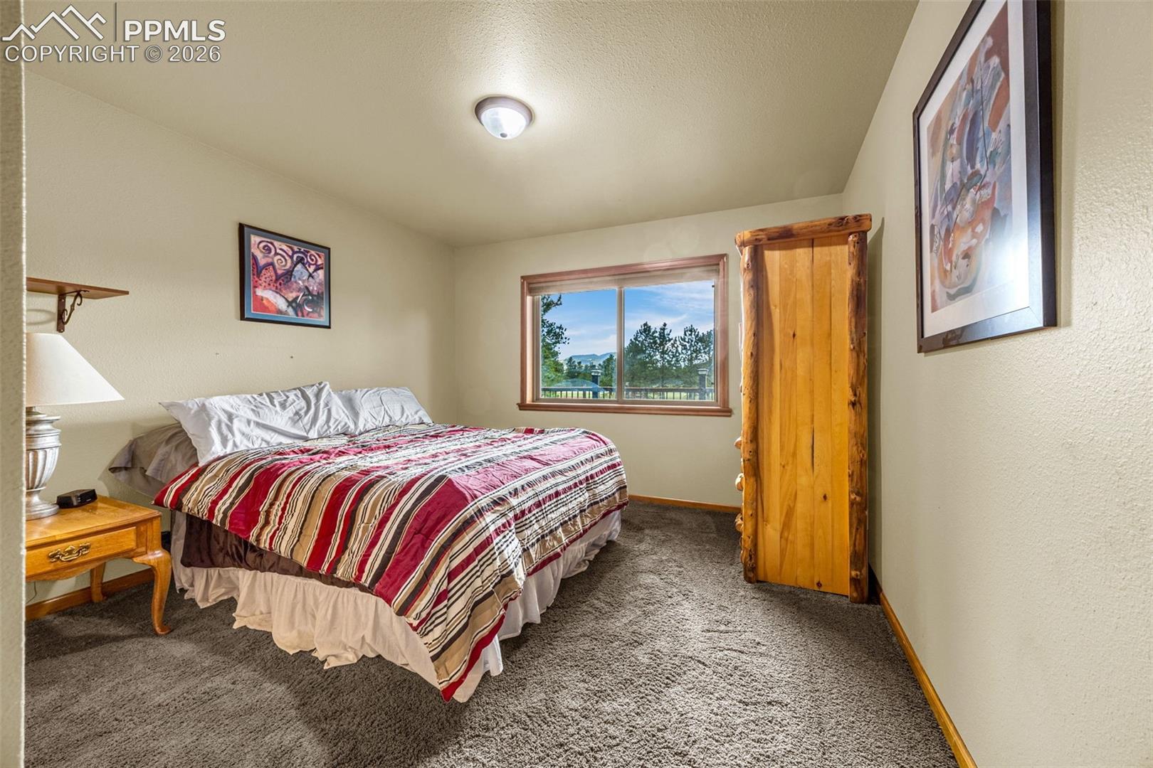 143 Ring Road Guffey, CO 80820 - Photo 17 of 36 Bedroom 2 with carpet floors and baseboards