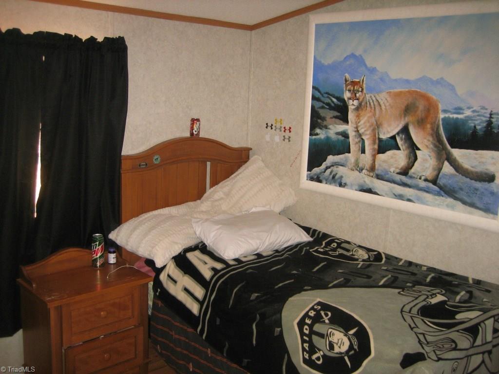 4738 Roundleaf Road Ramseur, NC 27316 - Photo 13 of 19 3rd bedroom.
