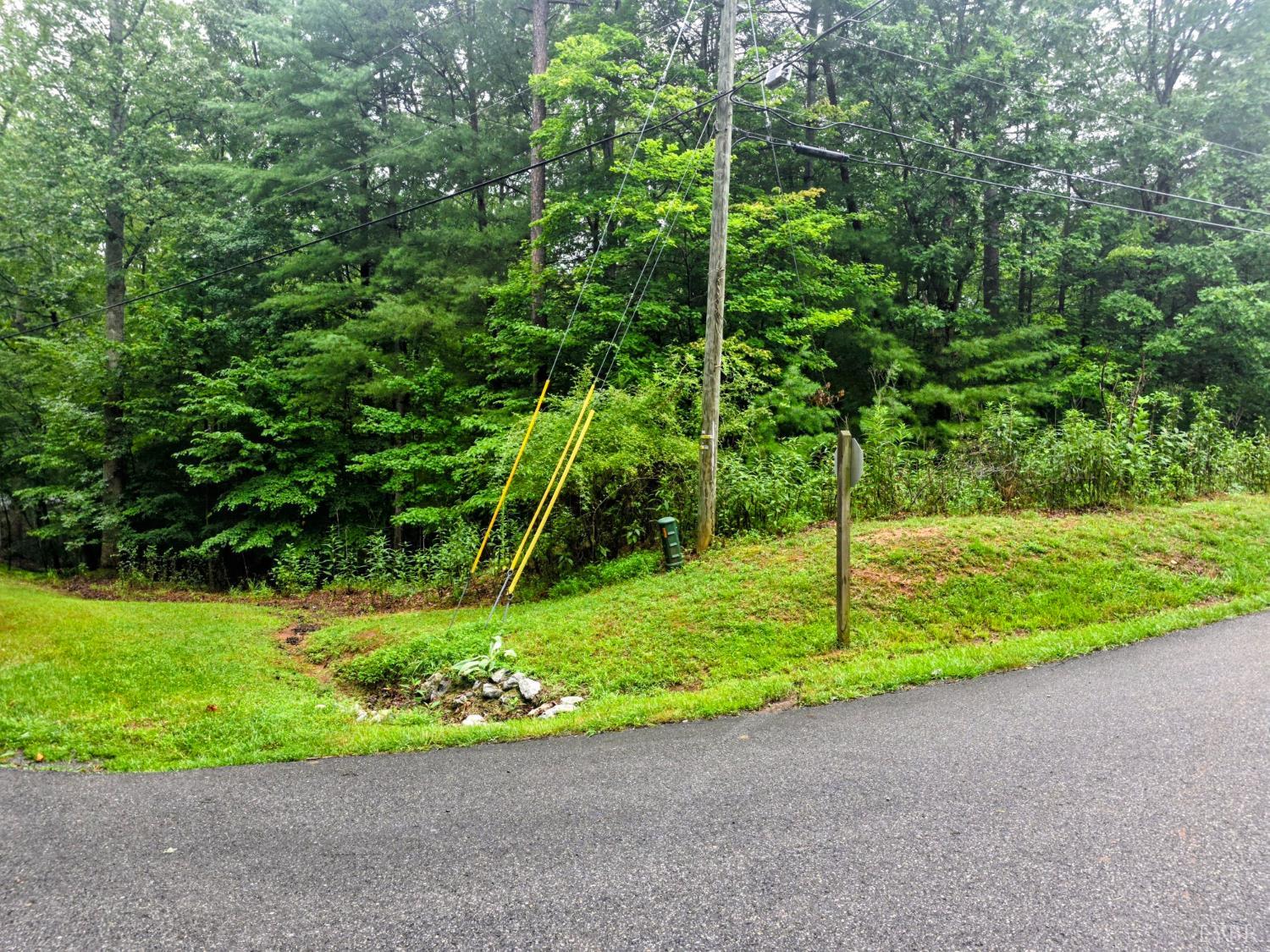 0 Gap Bridge Road Moneta, VA 24121 - Photo 3 of 20