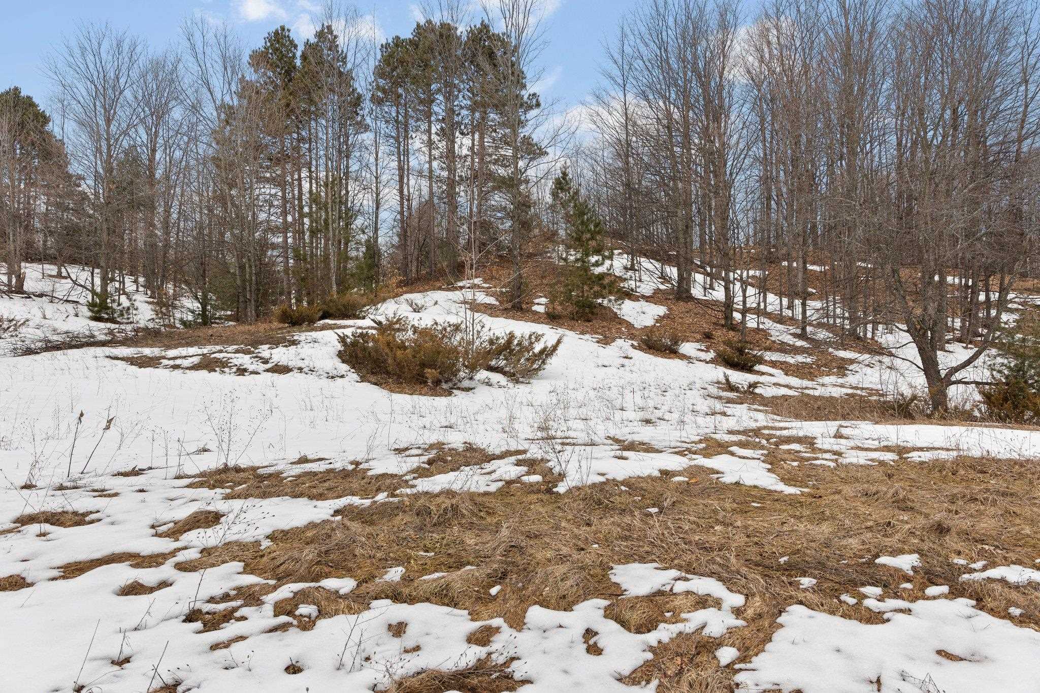 5 East Meander Lane Cedar, MI 49621 - Photo 5 of 36