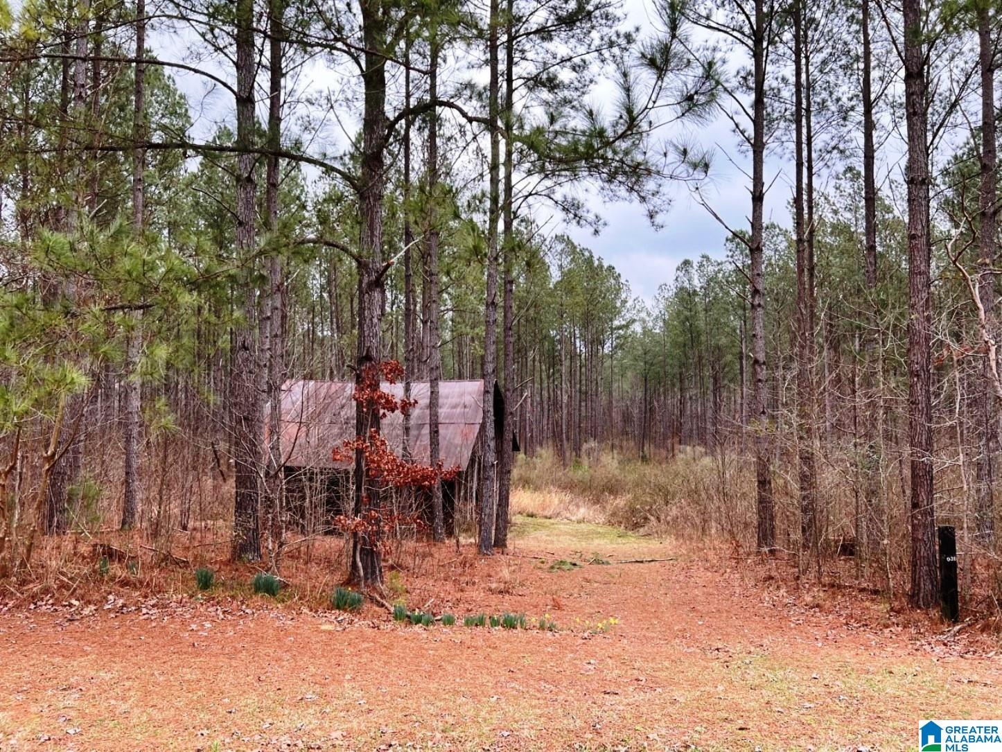 Blue Ridge Road, Unit 30 23 Lineville, AL 36266 - Photo 6 of 19