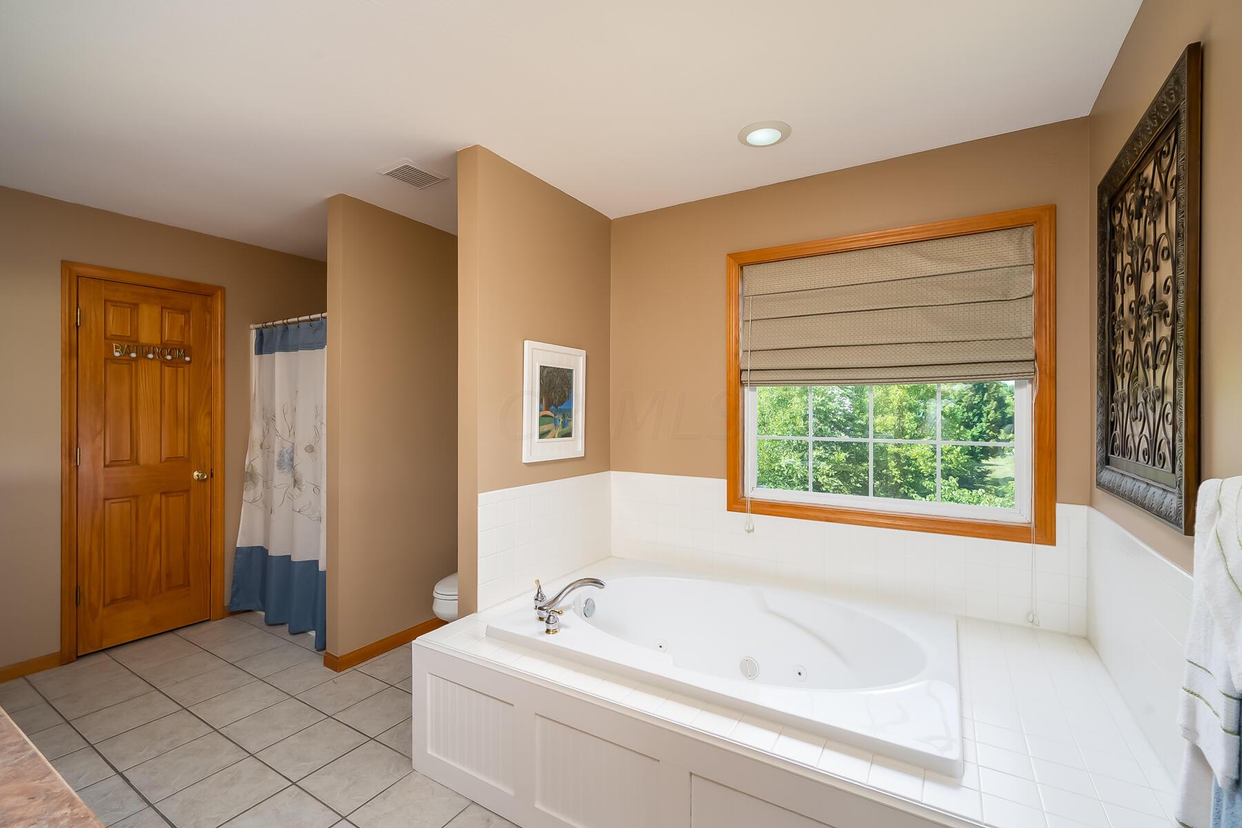 1557 Braumiller Road Delaware, OH 43015 - Photo 44 of 54 Primary Bath