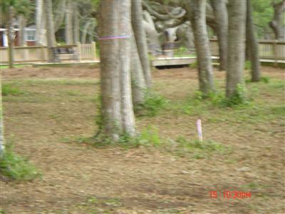 3491 Windy Point Road Southwest Supply, NC 28462 - Photo 11 of 13 Additional Photo