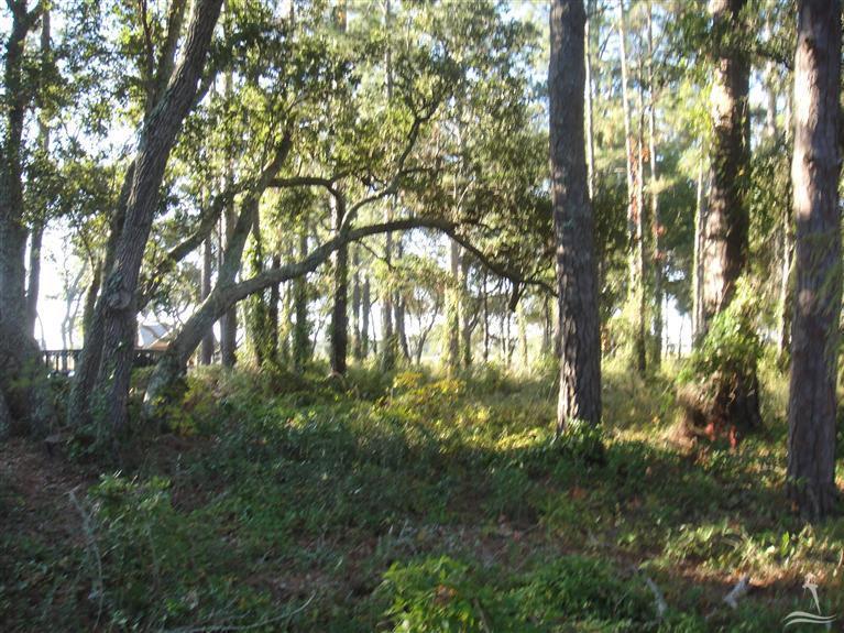 3491 Windy Point Road Southwest Supply, NC 28462 - Photo 2 of 13 Additional Photo