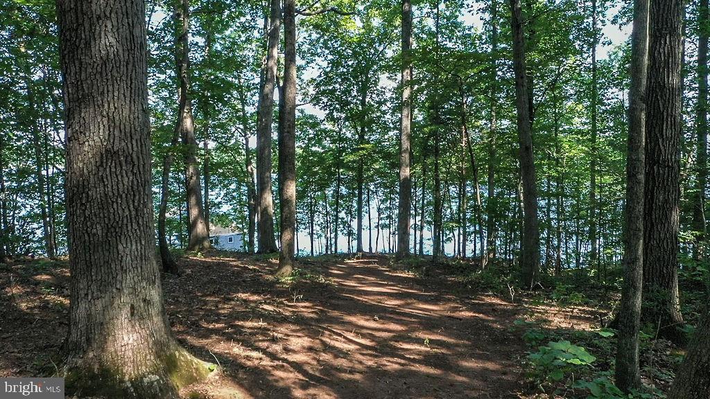 Lot 1 Busbees Point Bumpass, VA 23024 - Photo 5 of 13