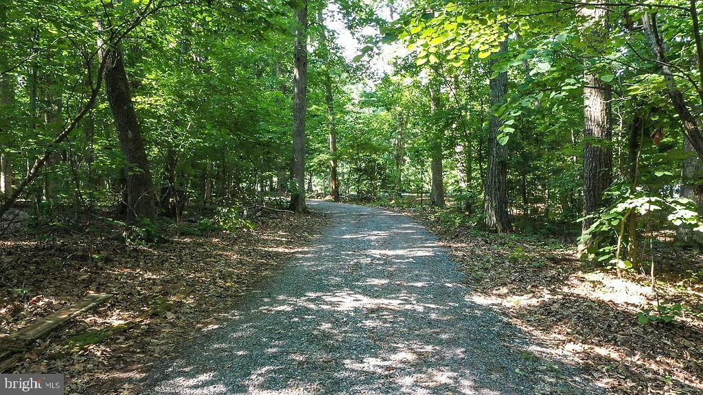Lot 1 Busbees Point Bumpass, VA 23024 - Photo 6 of 13