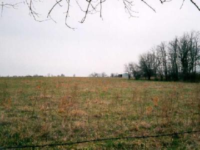 0 West Farm Road Ash Grove, MO 65604 - Photo 1 of 1 Primary Photo
