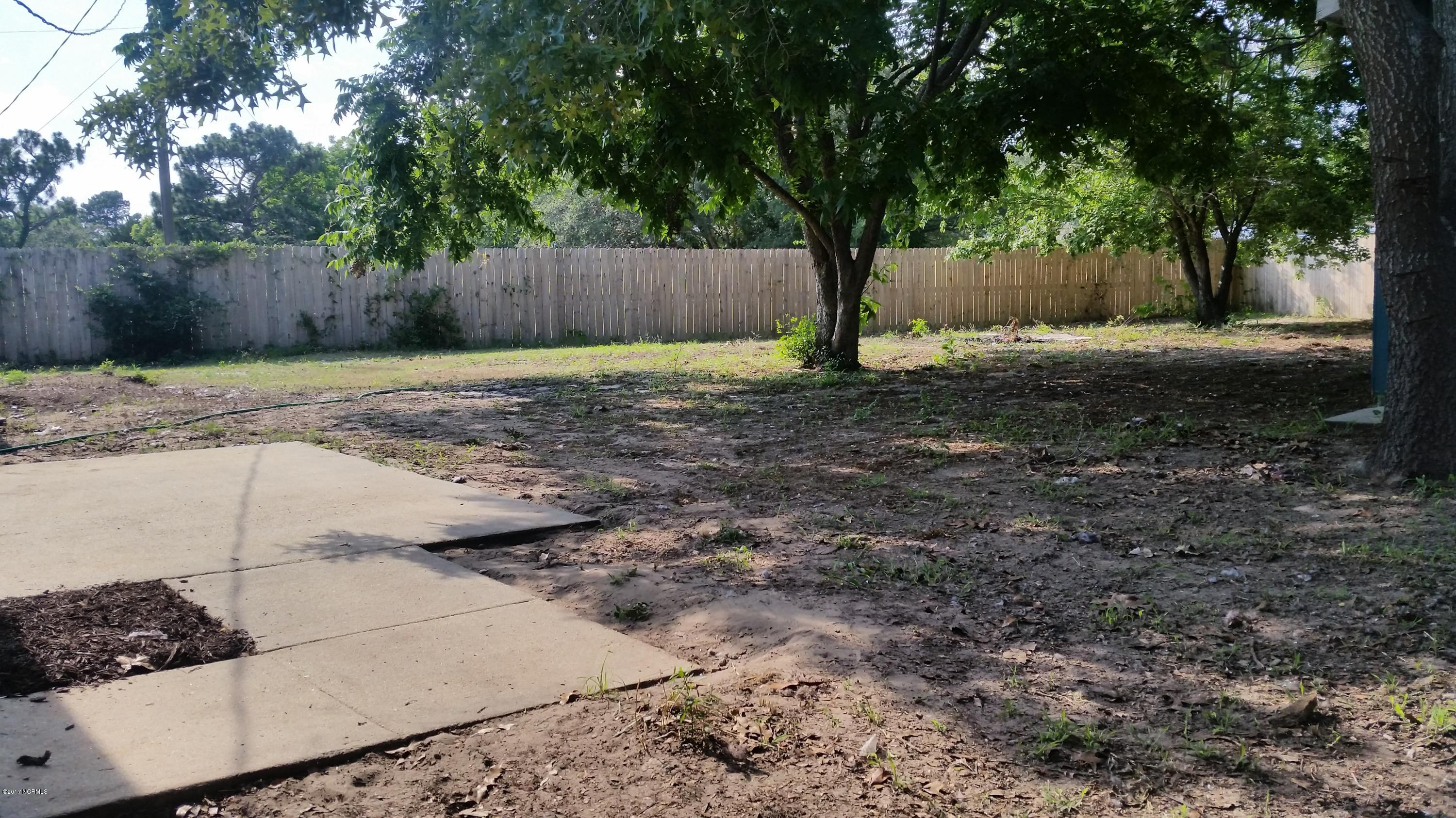 310 Cathay Road Wilmington, NC 28412 - Photo 17 of 17 backyard