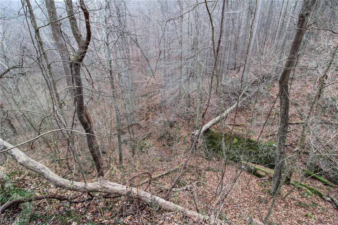0 Mount Carmel Rdg Road St. Marys, WV 26170 - Photo 21 of 29 View of nature
