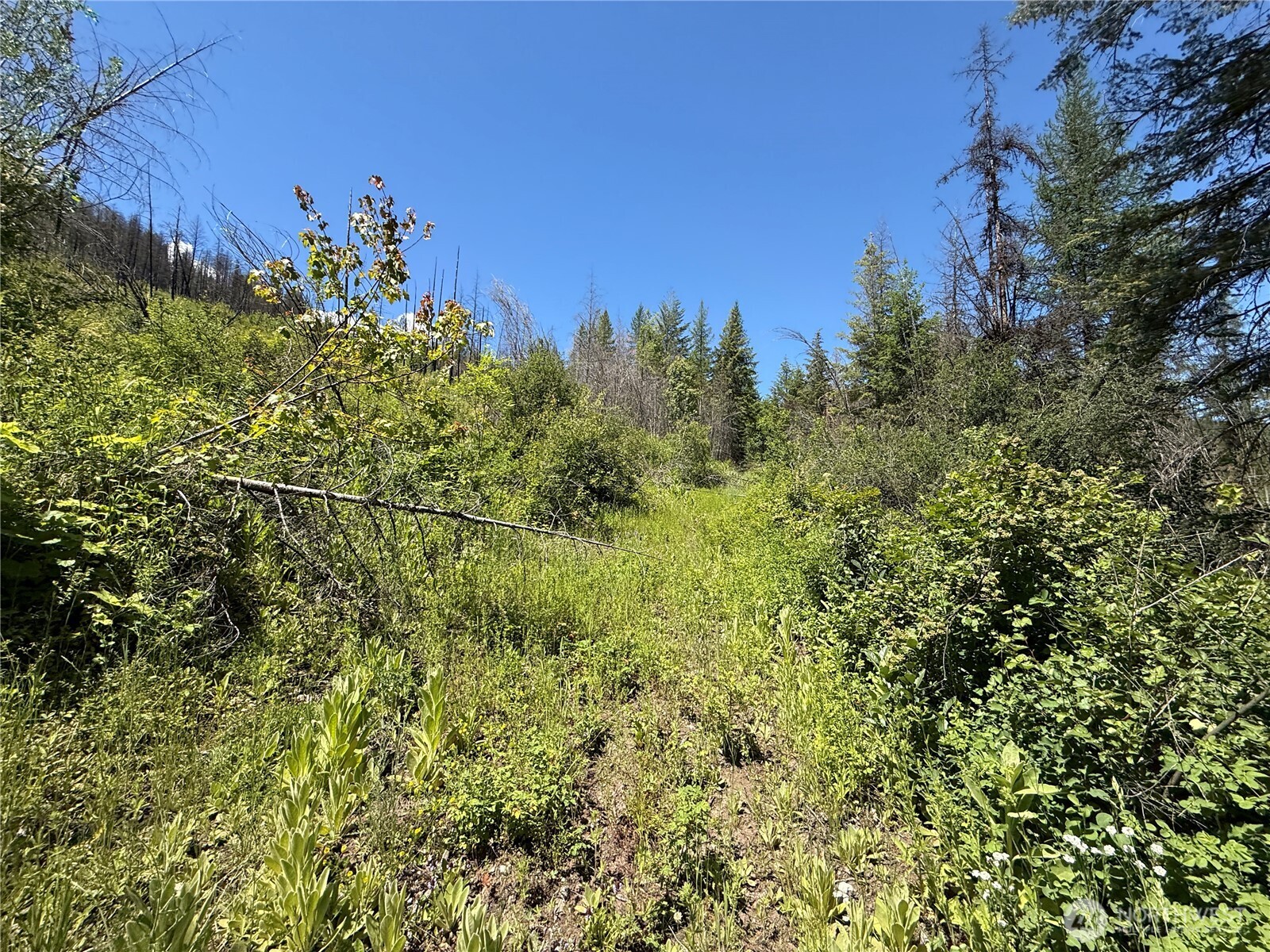 32 4th Of July Creek Road Danville, WA 99121 - Photo 11 of 20