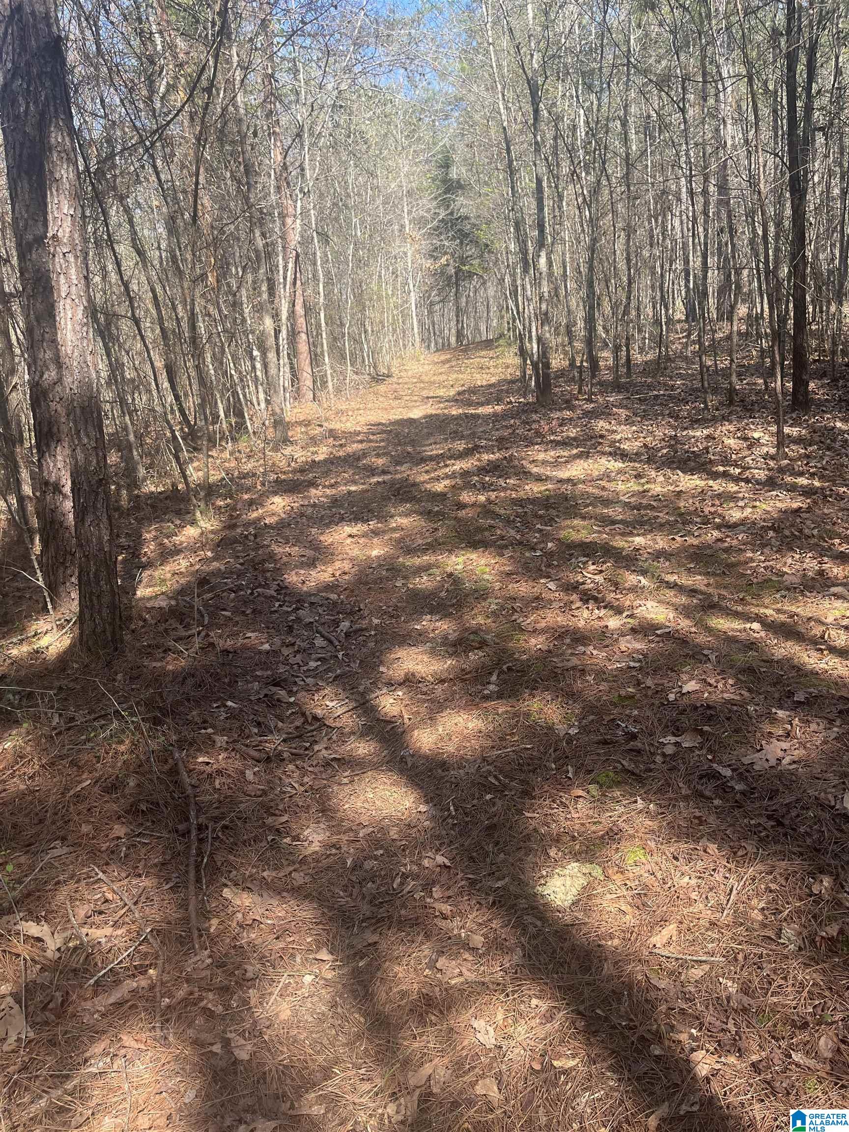 0 Crystal Lake Road West Blocton, AL 35184 - Photo 7 of 16