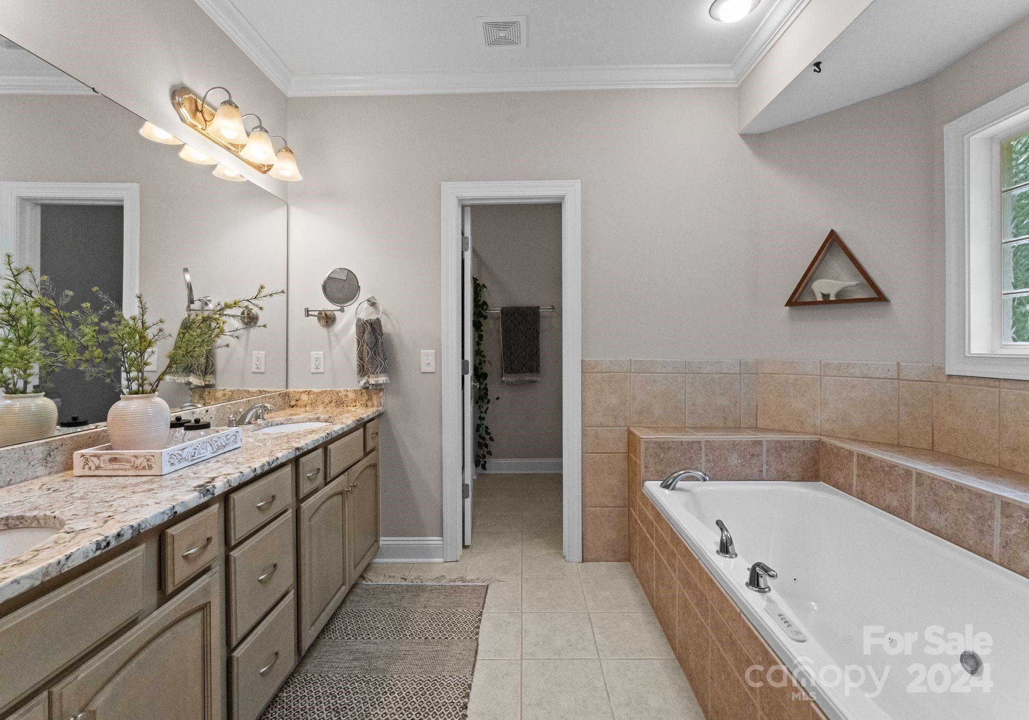 687 Normandy Road Mooresville, NC 28117 - Photo 20 of 32 a bathroom with a tub a sink and a mirror