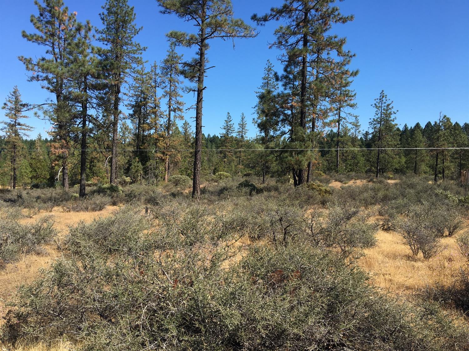 4481 Waldo Road Cave Junction, OR 97523 - Photo 13 of 13 a view of a outdoor space